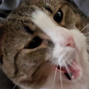 Meet your Posher, Bryan